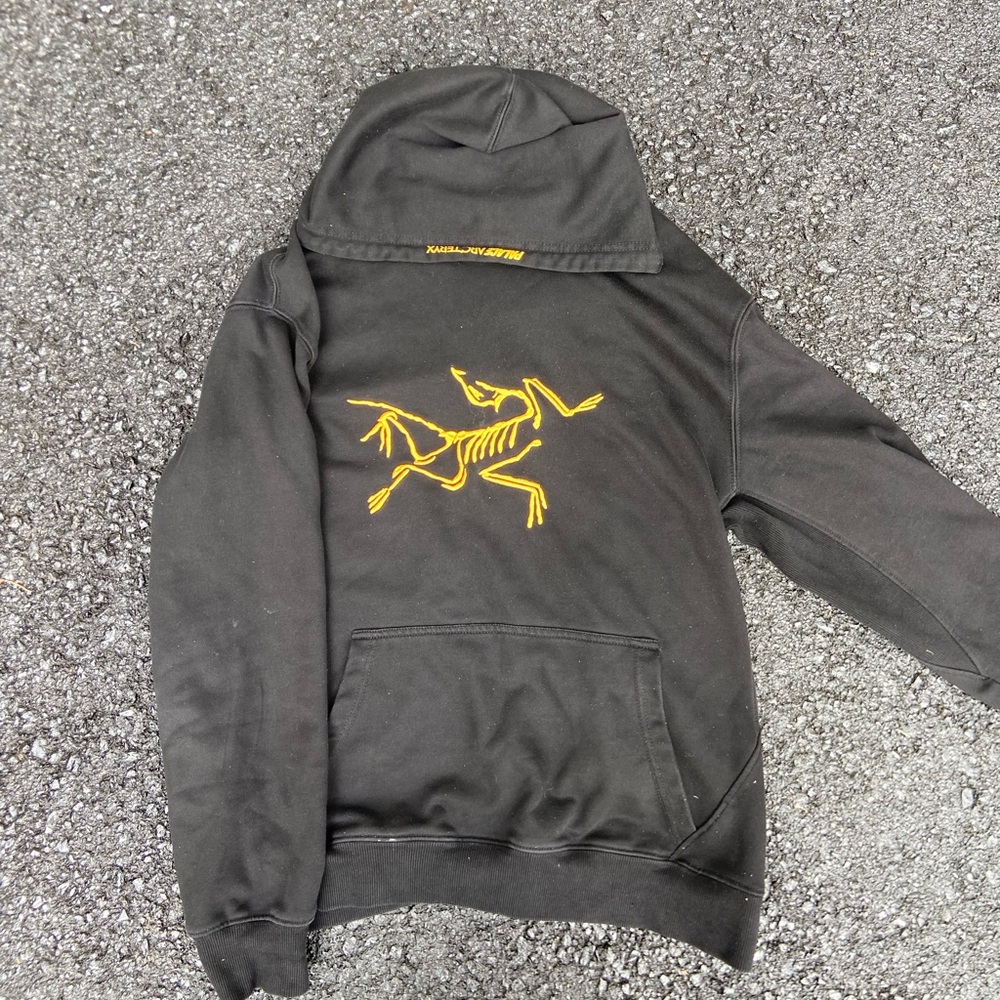 Arc’teryx X Palace hoodie